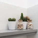 -terrazza Sul Mare- & Parcheggio Privato *
